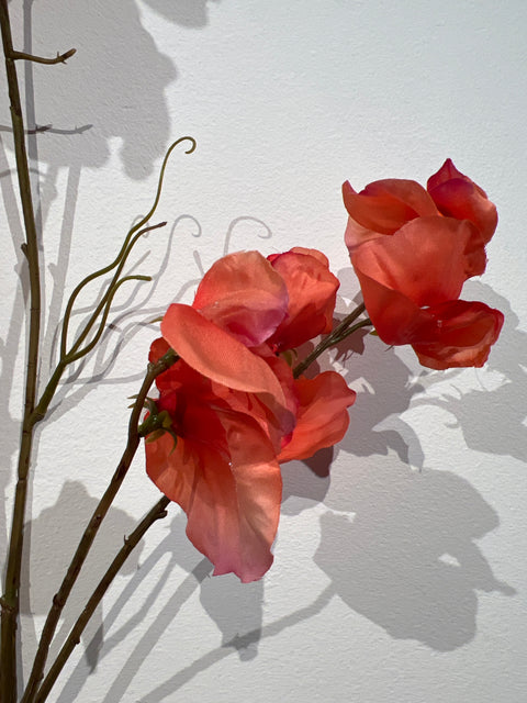 Lathyrus spray orange 117 cm