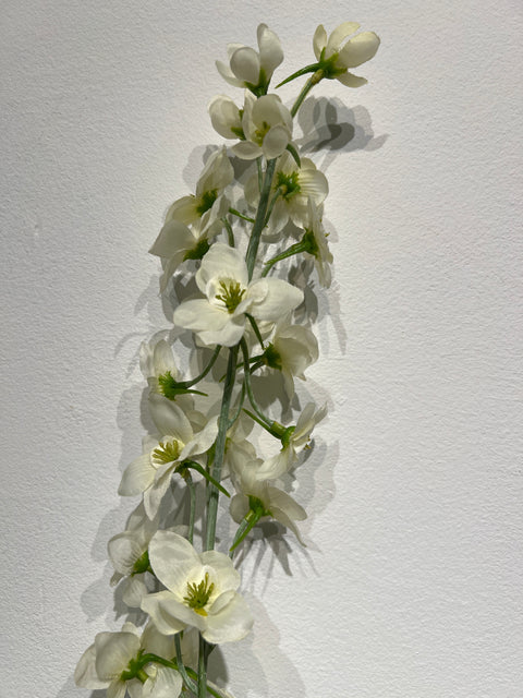 Delphinium  wit  79 cm