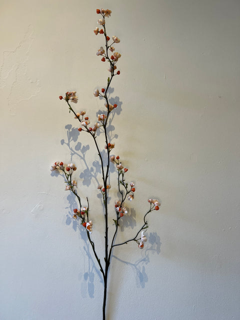 Kardinaalsmuts creme/oranje 115 cm