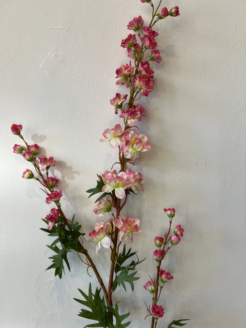 Delphinium roze 85 cm