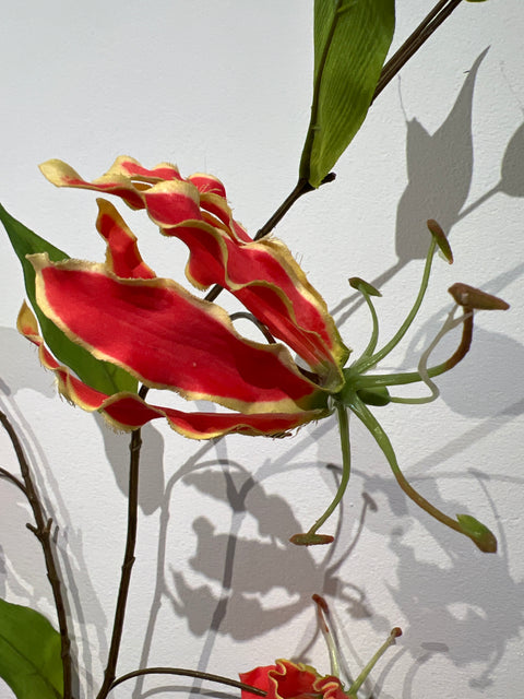 Gloriosa lily spray orange/yellow 105 cm