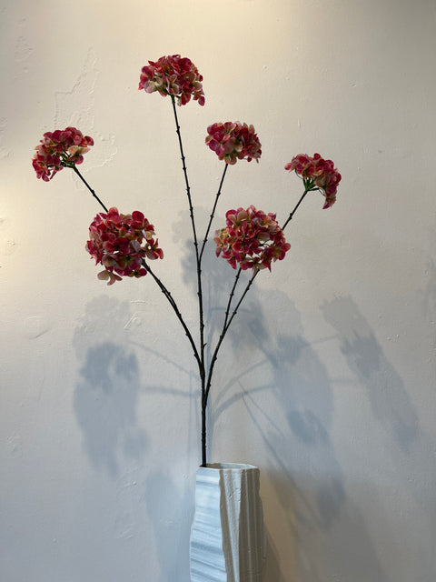 Hortensia x6 rood 100 cm