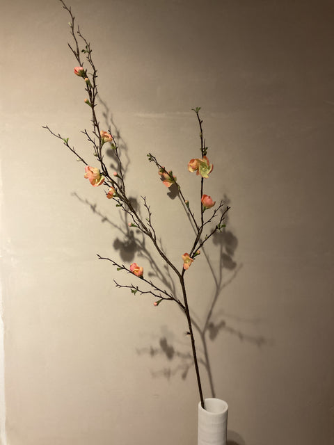 Quince blossom tak 125 cm peach