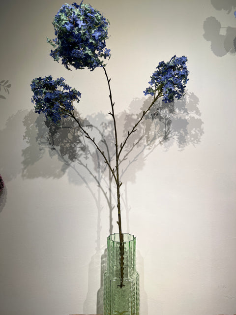 Hortensia tak blauw 143 cm