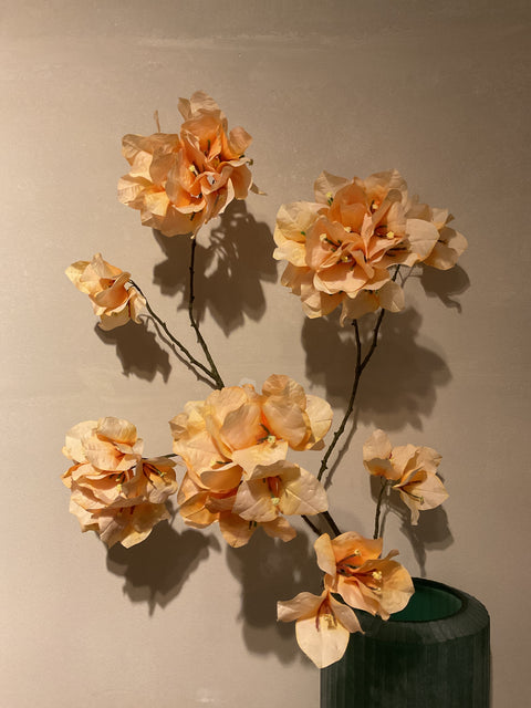 Bougainvillea tak 111 cm yellow