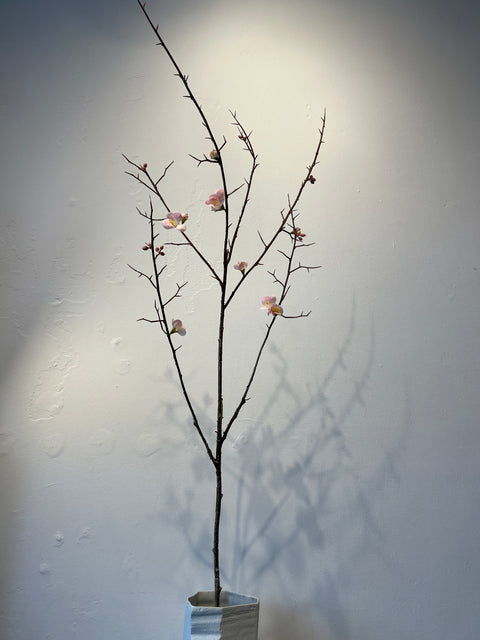Bloesem tak roze 121 cm