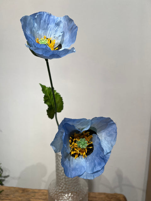 Papaver  blauw   72 cm
