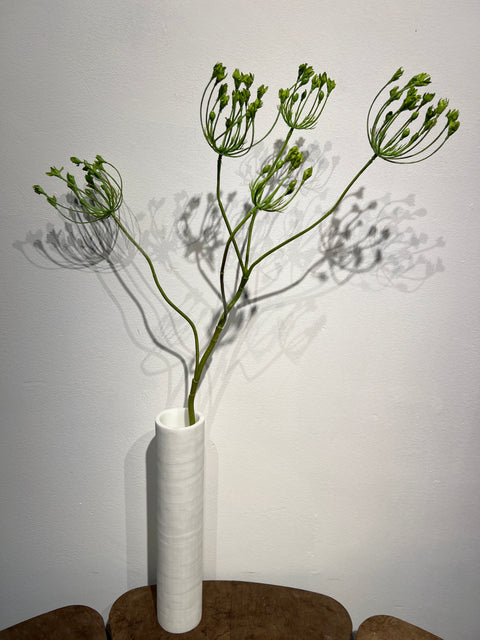 Dille Lace seed spray 82 cm green