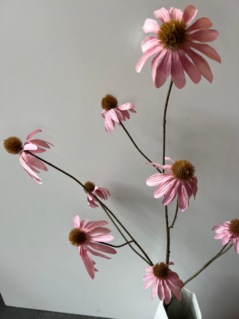 Echinacea spray oud roze 123 cm