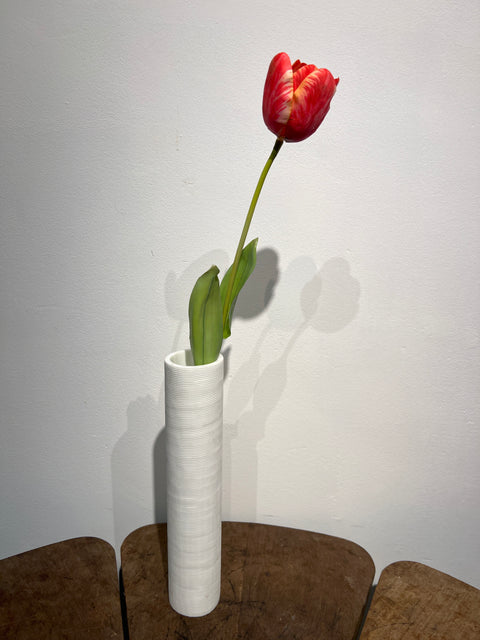 Tulp frans 60 cm rood