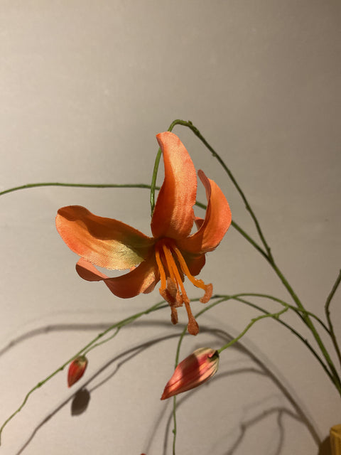 Lily Martagon 100 cm orange