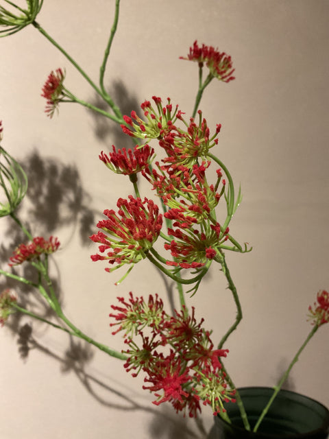 Dille tak 120 cm rood