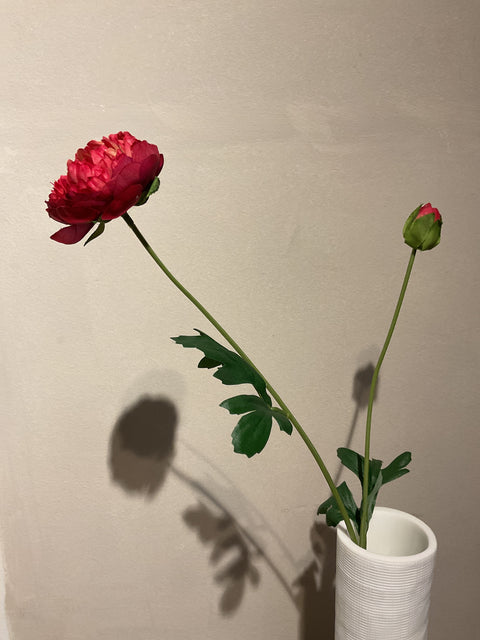 Ranonkel spray Flaine 55 cm rood