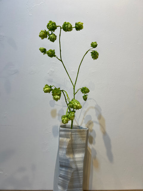 Hop tak groen 86 cm