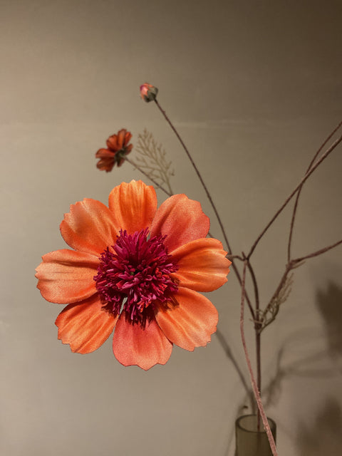 Cosmos spray 92 cm orange