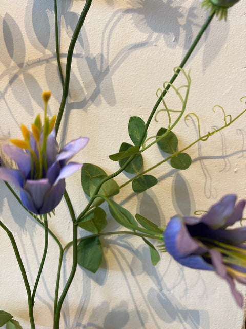 Clematis tak blauw 115 cm