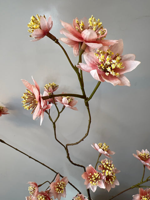 Zeeuws knoopje groot roze 119 cm