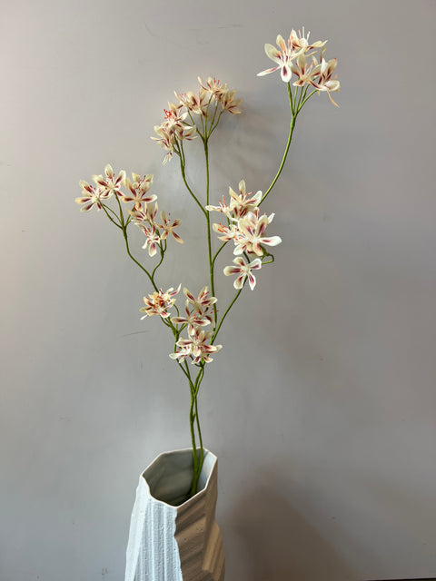 Mini bloem tak vanille 96 cm