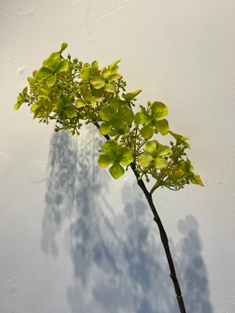 Hortensia lang groen 90 cm