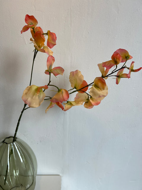 Sweetpea spray x3 peach 75 cm