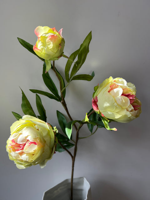 Pioenroos tak x3 groen/roze 73 cm