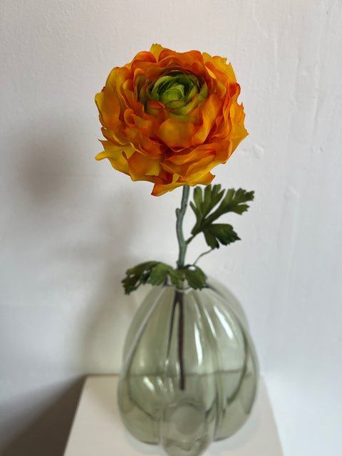 Ranonkel 50 cm oranje