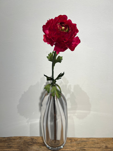 Ranonkel  51 cm donker roze