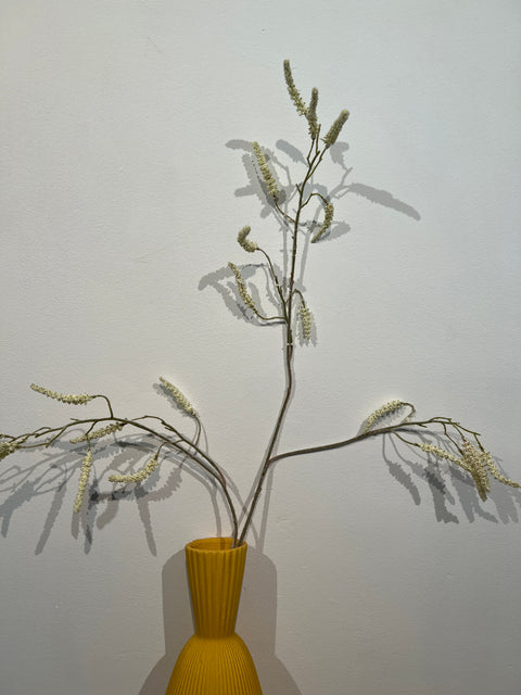 Amaranthus spray cream 90 cm