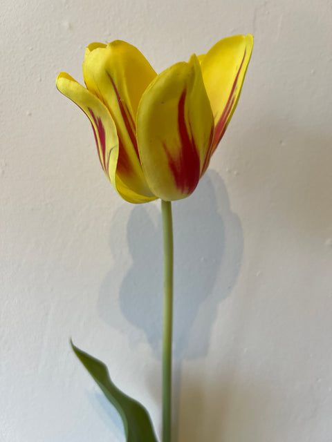 Tulp steel geel/rood 72 cm
