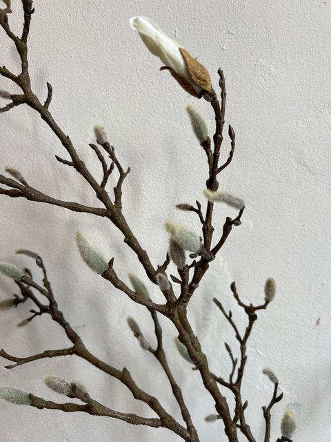 Magnolia Bud tak crème 135 cm