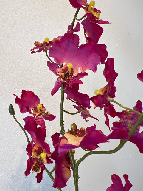 Orchidee cerise 90 cm