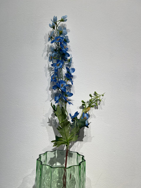 Delphinium  blauw  79 cm