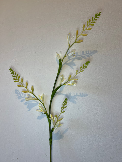 Montbretia tak 93cm wit/groen