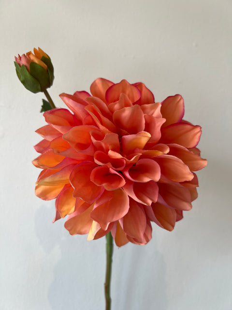 Dahlia bloem + knop koraal 60 cm