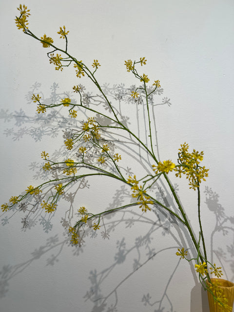 Kornoelje geel 125 cm