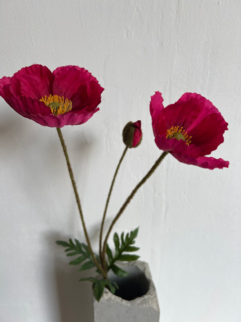 Papaver spray fuchsia 75 cm