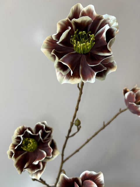 Helleborus tak x4 bruin 93 cm