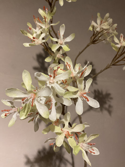 Krenten bloesem tak  154 cm green