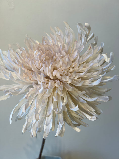 Chrysant crème 72 cm