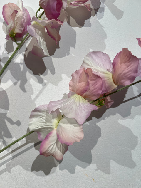 Lathyrus spray lila 115 cm