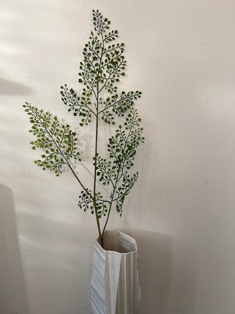 Varen tak Maiden Hair 87 cm groen