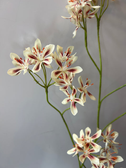 Mini bloem tak vanille 96 cm