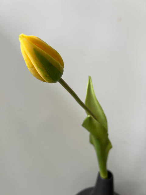 Tulp frans 43 cm geel in knop