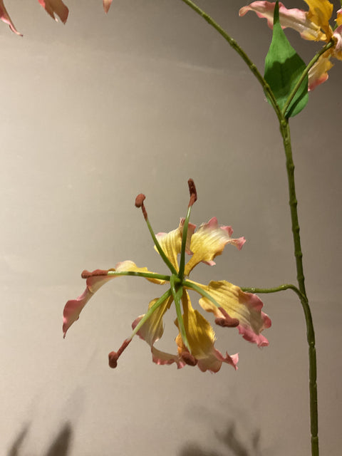 Gloriosa spray 64 cm pink