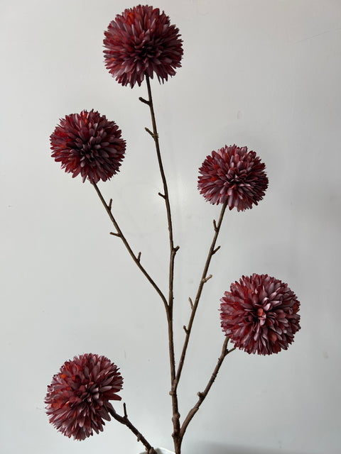 Plataan spray burgundy 100 cm