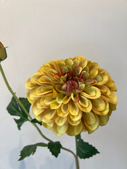 Dahlia bloem + knop oker 81 cm