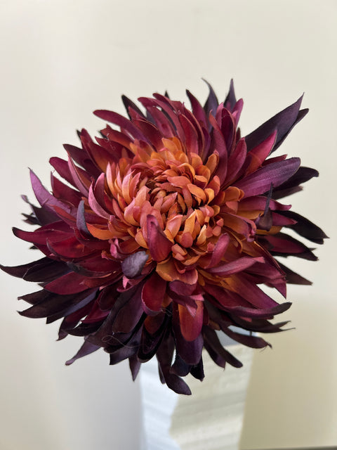 Chrysant MUM donker bordeaux 62 cm