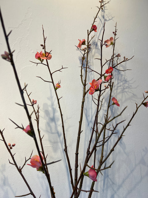 Bloesem tak groot roze 154 cm