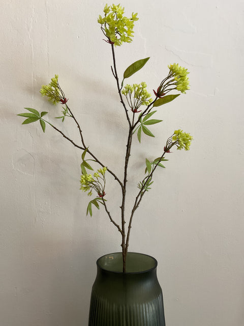Esdoorn tak groen 110 cm