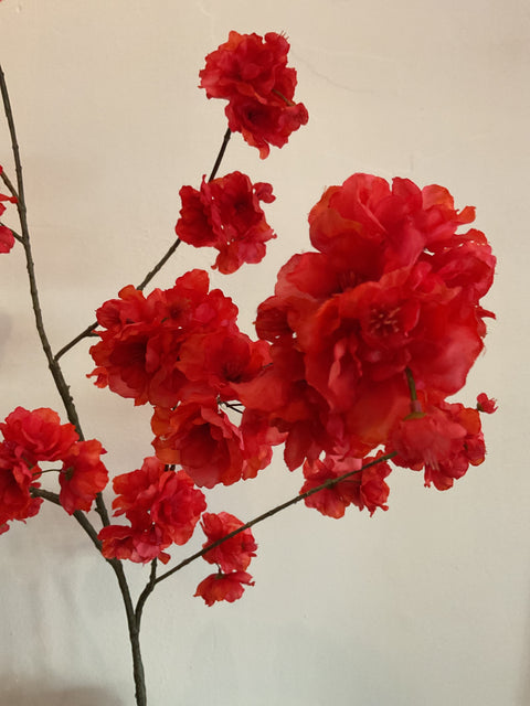 Kanzan blossom large rood 130 cm